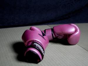 Sport de combat