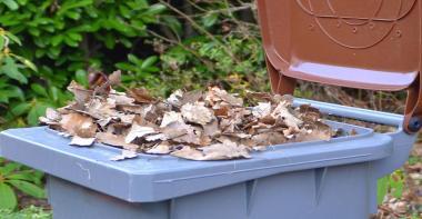 Déchets